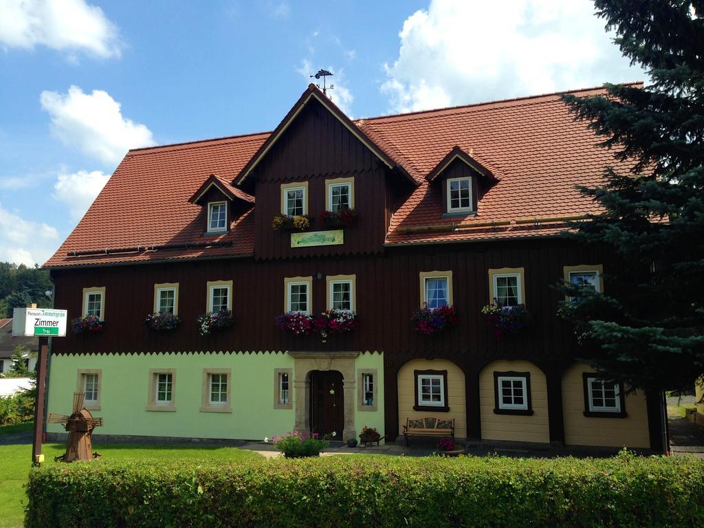 Pension Immergruen Kurort Jonsdorf Bagian luar foto